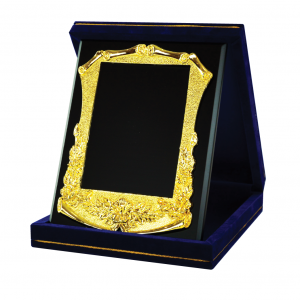Velvet Box Gold Frame